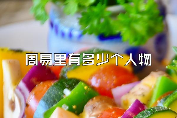 周易里有多少个人物