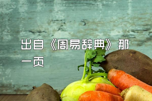 出自《周易辞典》那一页