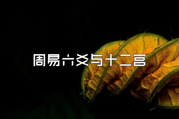 周易六爻与十二宫