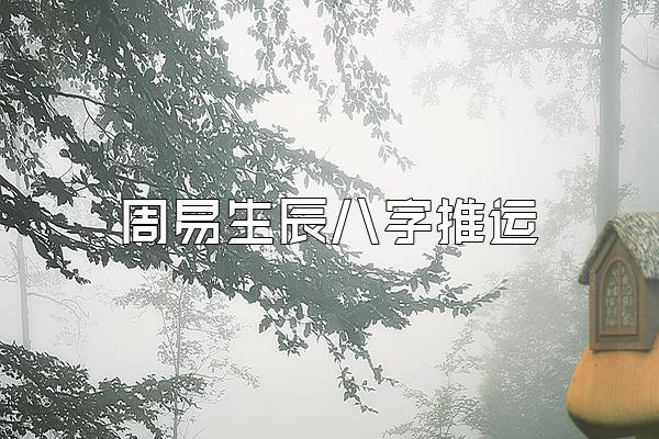 周易生辰八字推运