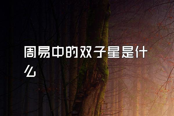 周易中的双子星是什么