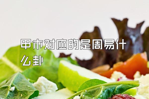 甲木对应的是周易什么卦