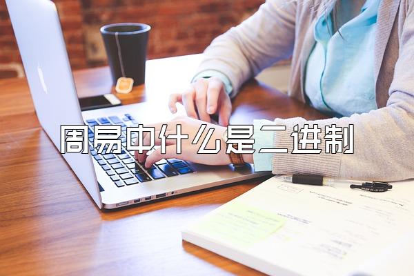 周易中什么是二进制