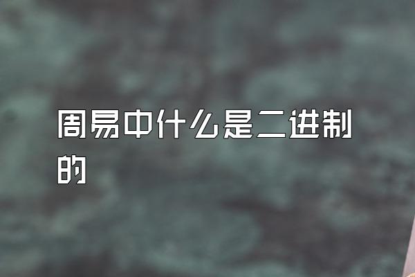 周易中什么是二进制的