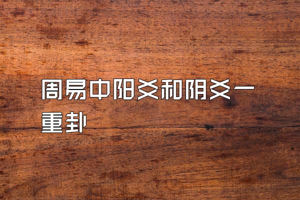 周易中阳爻和阴爻一重卦