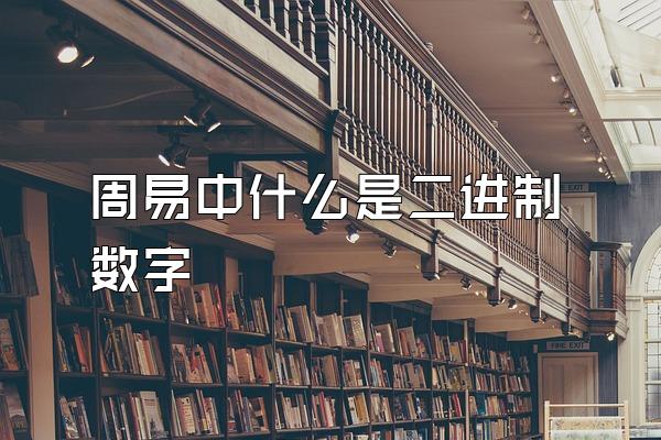 周易中什么是二进制数字