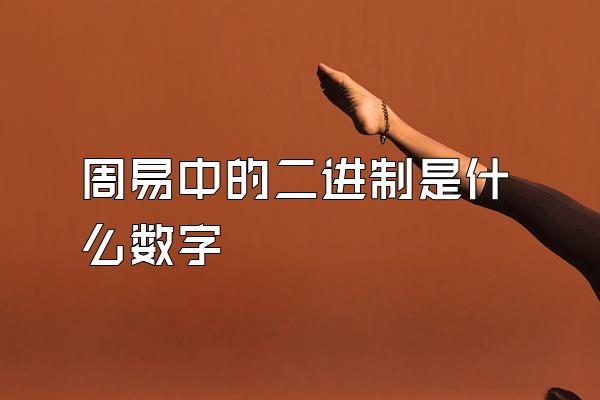 周易中的二进制是什么数字