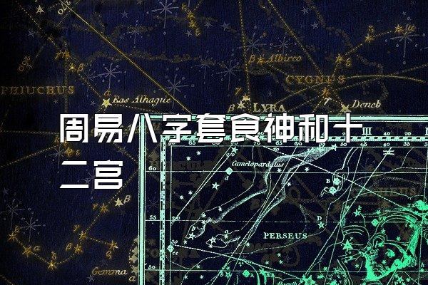 周易八字套食神和十二宫