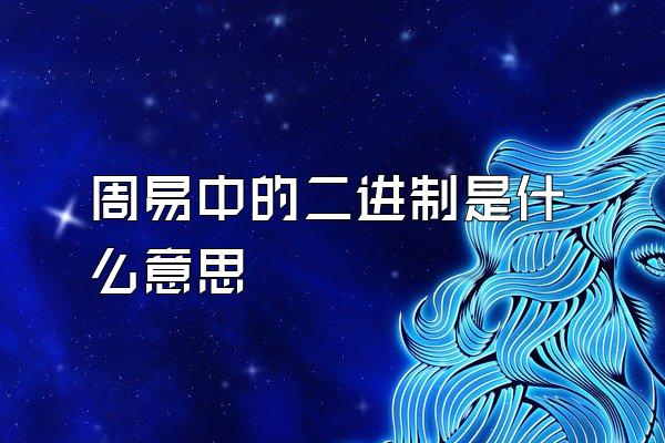 周易中的二进制是什么意思