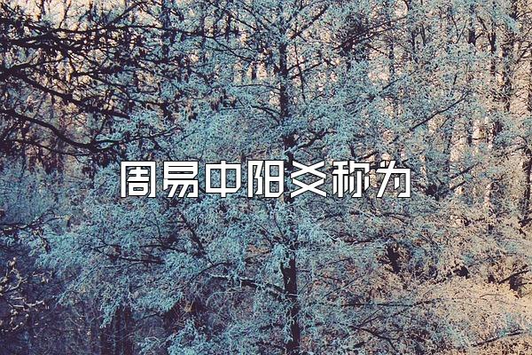 周易中阳爻称为