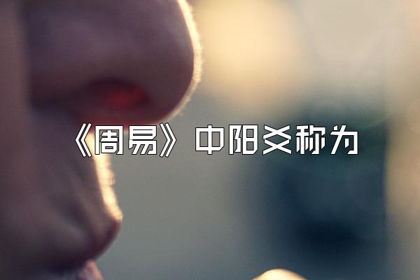 《周易》中阳爻称为