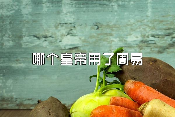 哪个皇帝用了周易