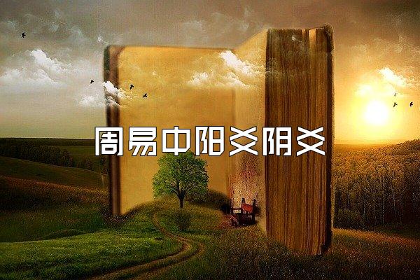 周易中阳爻阴爻
