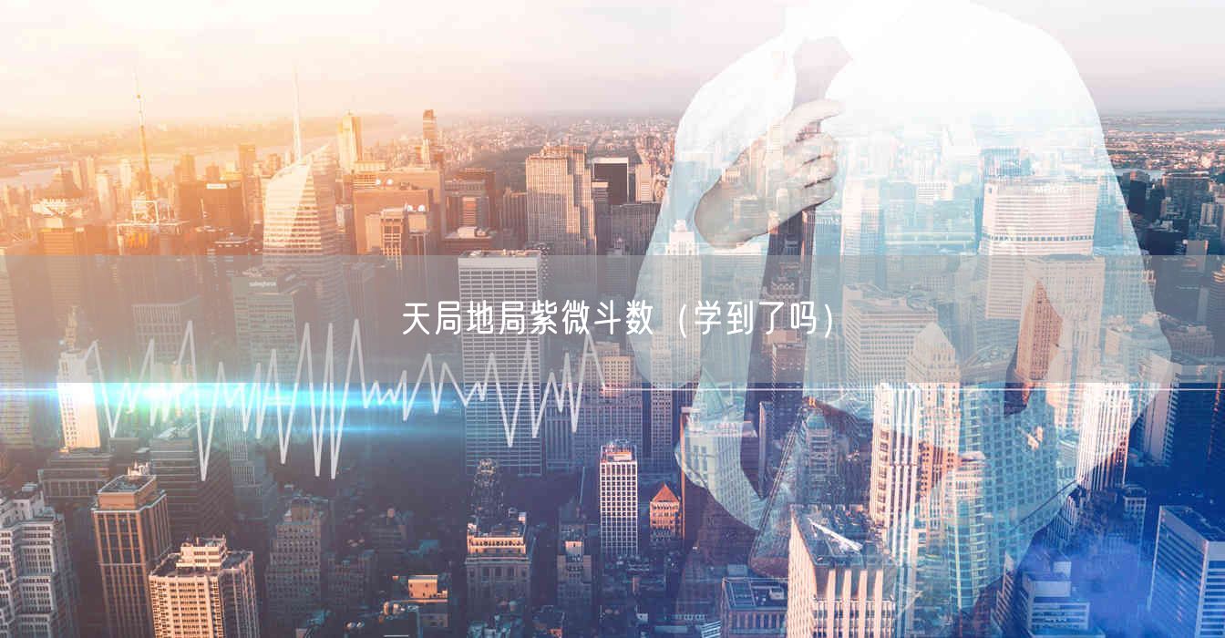 天局地局紫微斗数(学到了吗)