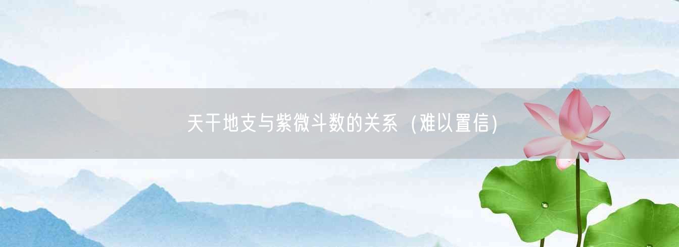 天干地支与紫微斗数的关系(难以置信)